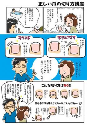 爪の切り方